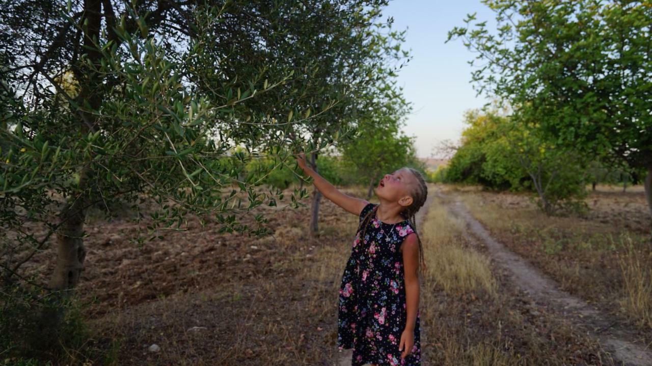 Agriturismo Gaia Villa Noto Buitenkant foto