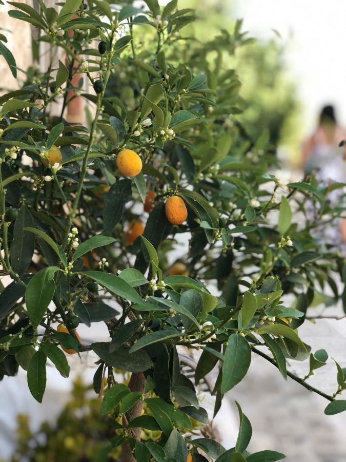 Agriturismo Gaia Villa Noto Buitenkant foto