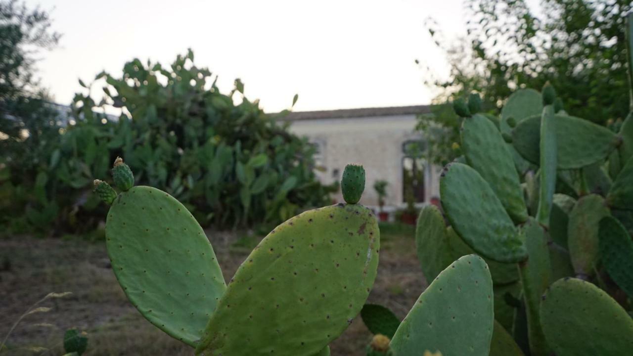 Agriturismo Gaia Villa Noto Buitenkant foto